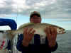 Copy of Trout_23_022404.jpg (76885 bytes)